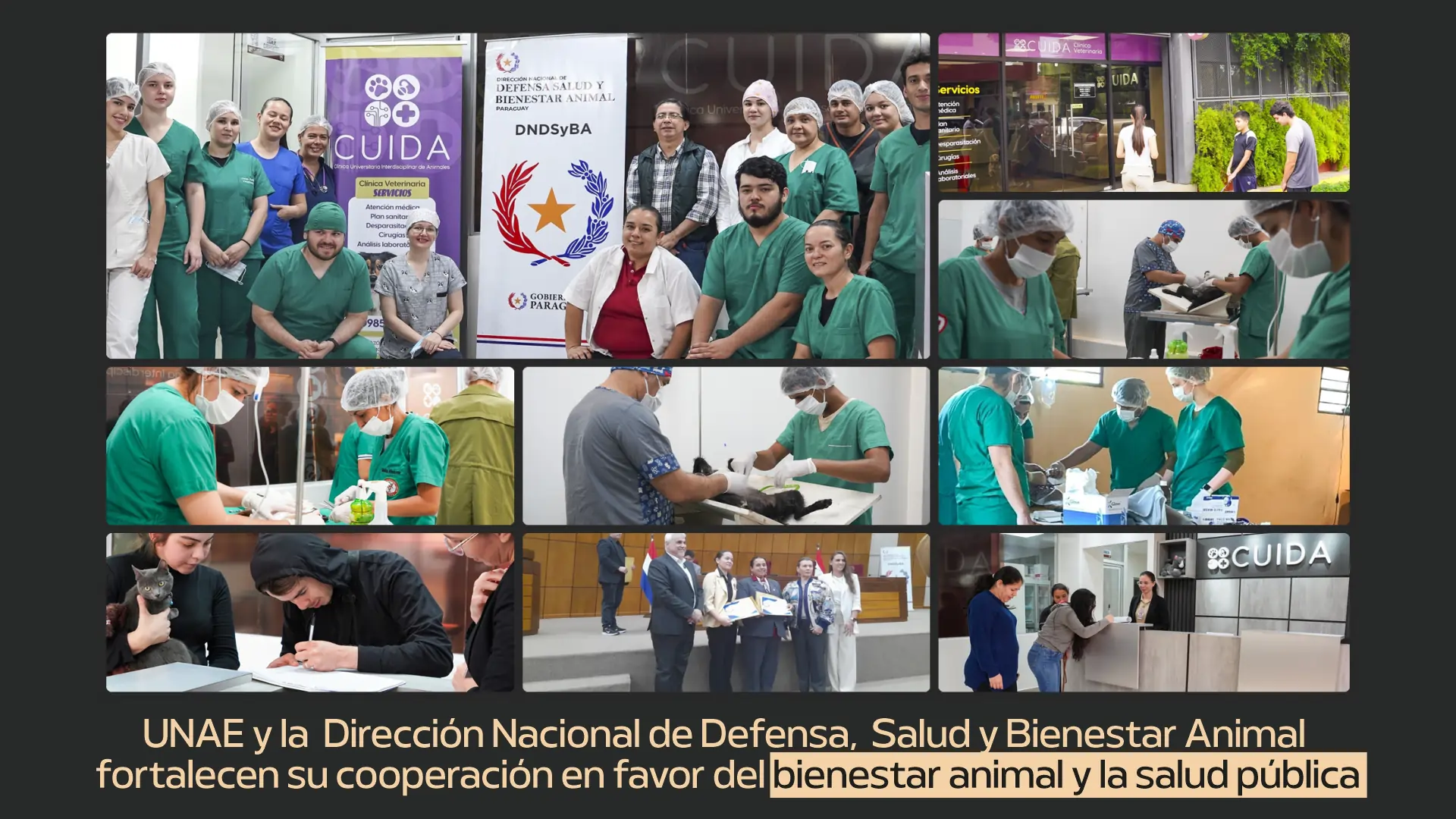 UNAE y la Dirección Nacional de Defensa, Salud y Bienestar Animal fortalecen su cooperación en favor del bienestar animal y la salud pública