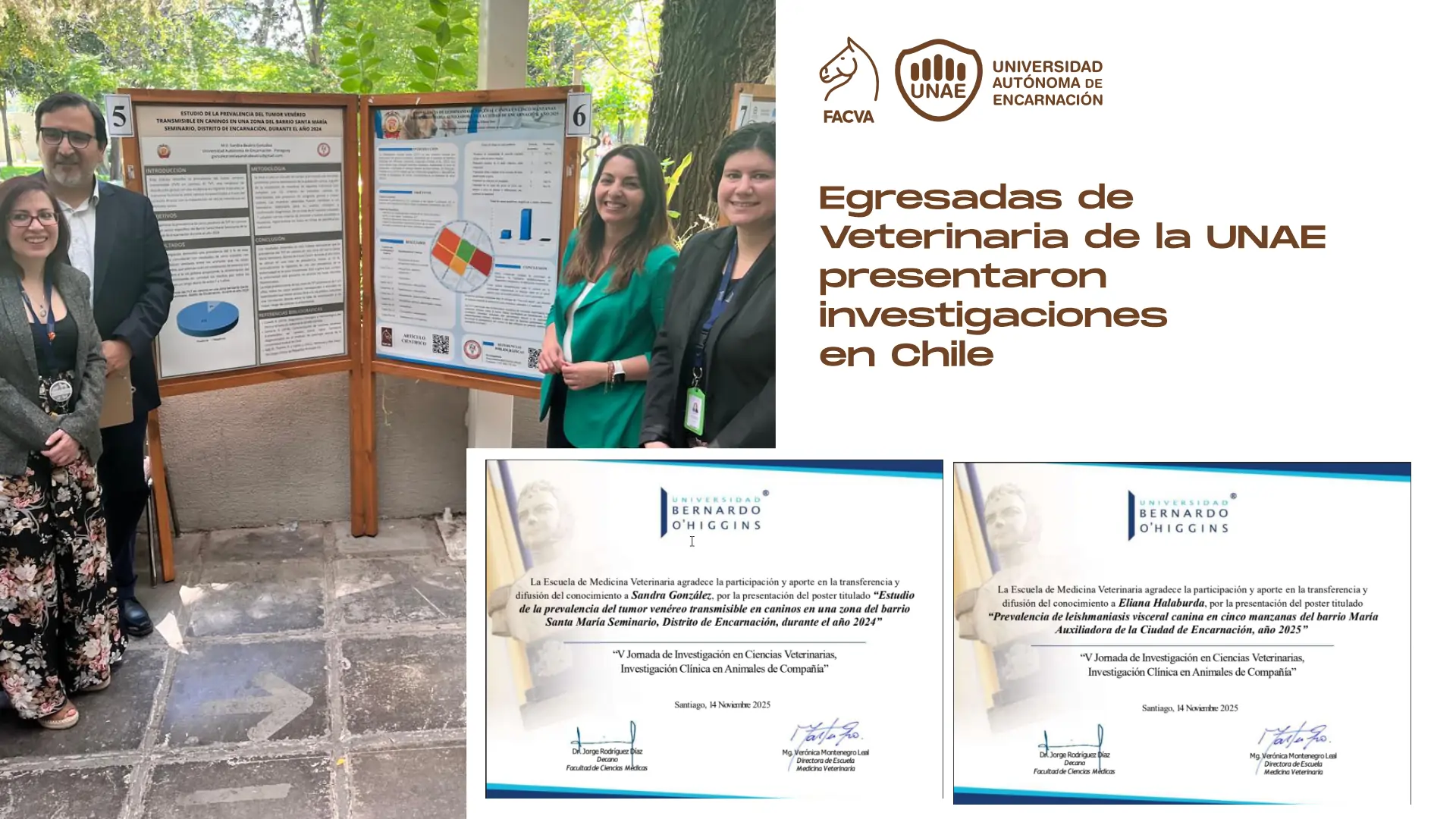 Egresadas de Veterinaria de la UNAE presentaron sus investigaciones en la V Jornada de Investigación en Ciencias Veterinarias en Chile