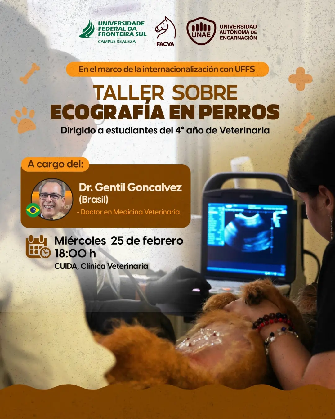 Taller sobre Ecografía en Perros