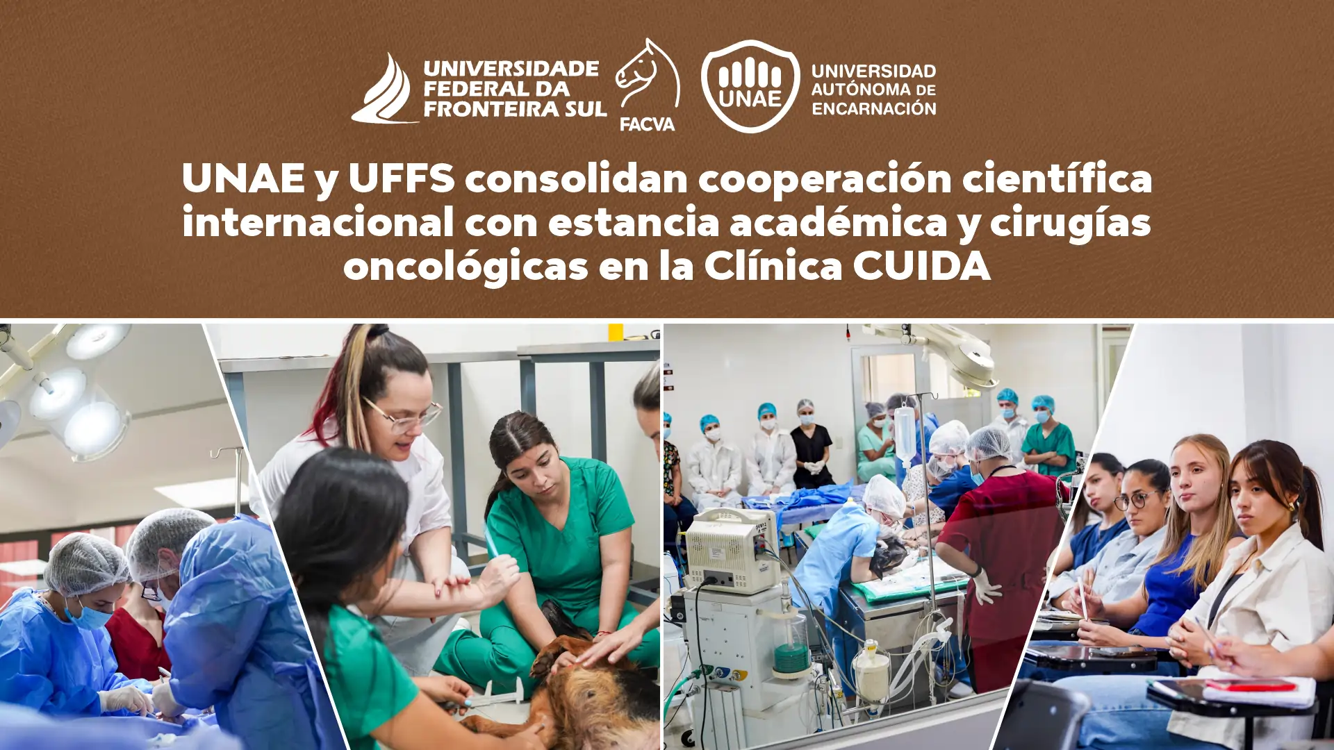 UNAE y UFFS consolidan cooperación científica internacional con estancia académica y cirugías oncológicas en la Clínica CUIDA