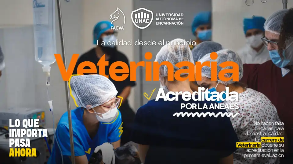 La carrera de Veterinaria de la UNAE obtuvo la acreditación de la ANEAES en su primera evaluación