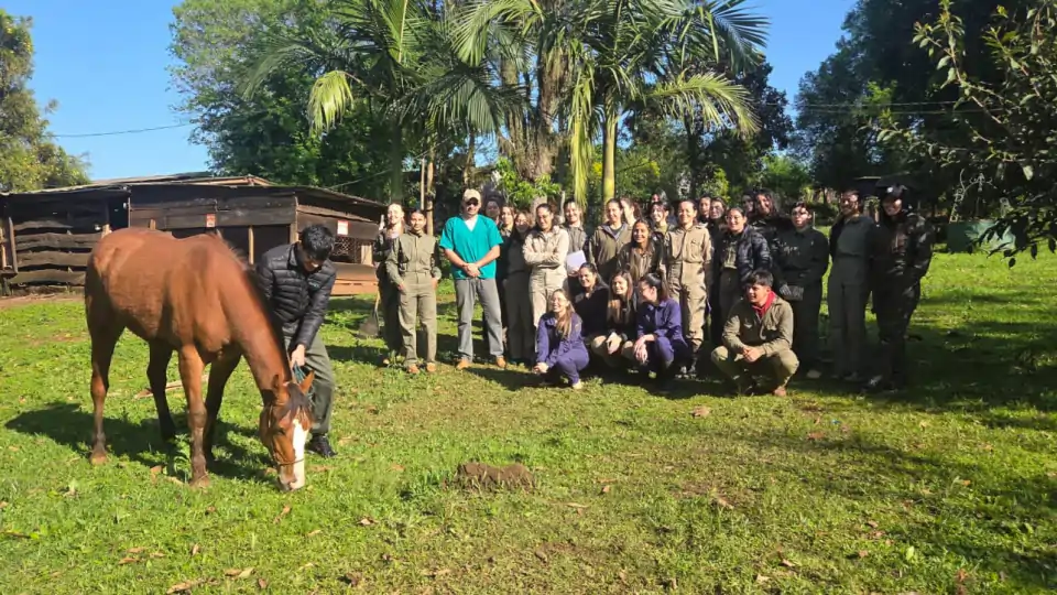 Estudiantes de Veterinaria fortalecen su formación con prácticas de campo